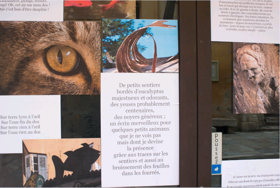 Retour en images de l'expo "Tout lemonde veut devenir une girafe"